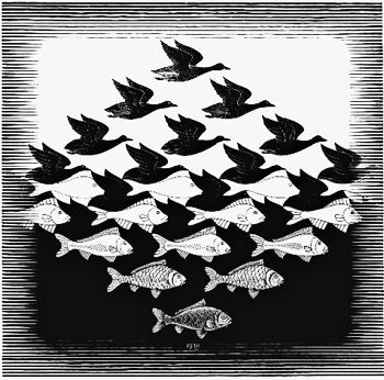 Neither fish nor fowl