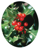 holly-berry-small