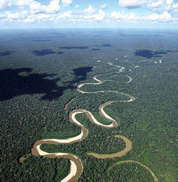 Meanders