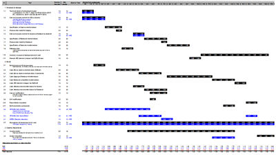 Waterfall Project Plan (intentionally blurred somewhat)