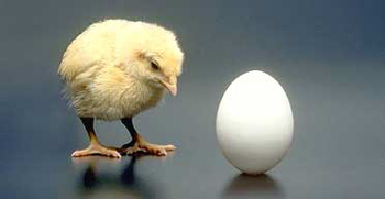 Which came first?