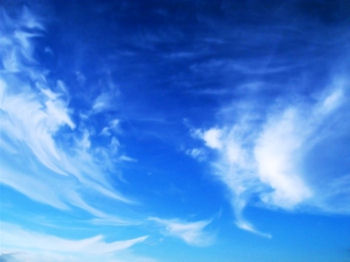 Blue skies / Smiling at me / Nothing but blue skies / Do I see ||  Bluebirds / Singing a song / Nothing but bluebirds / All day long 
