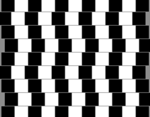 Parallel lines? Parallel lines?