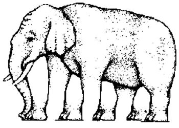 Quadruped? Quadruped?