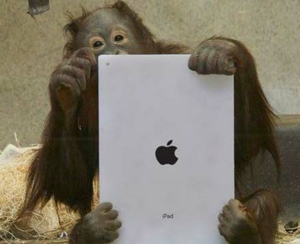 Smarter than the average iPad user?