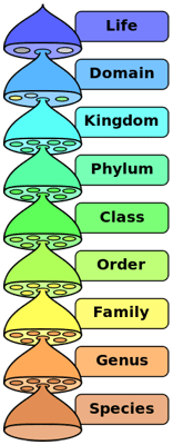 Biological- Classification