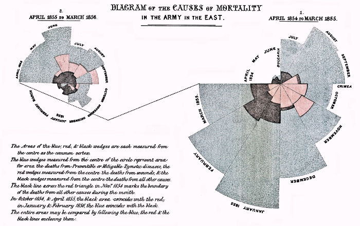 Diagram of the Causes of Mortality in the Army of the East (click to view a larger version in a new tab)