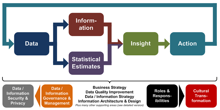 Data Information Insight Action (w700)