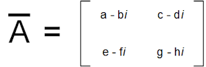 2x2 conjugate 2x2 conjugate