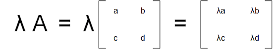 Scalar Multiplication Scalar Multiplication