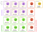 Standard Model Standard Model