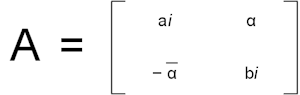 Skew-hermitian D Skew-hermitian D