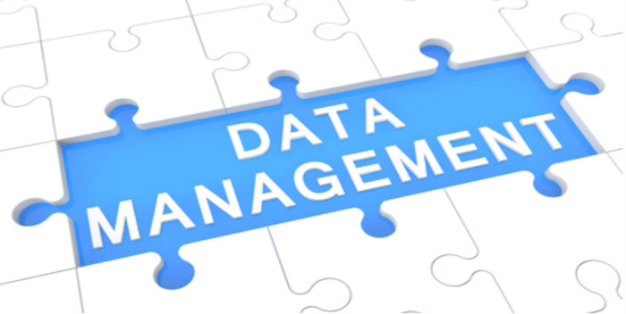 Data Management Data Management