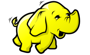 Hadoop the Elephant