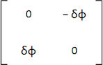 Skew symmetric matrix