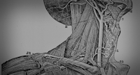 The Anatomy of a Data Function