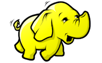 Elephants’ Graveyard?
