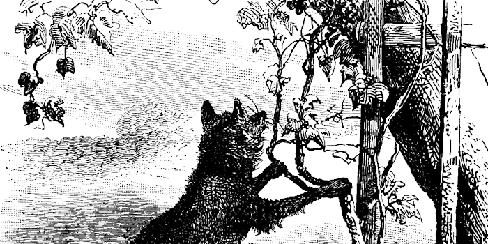 The Fox and the Grapes