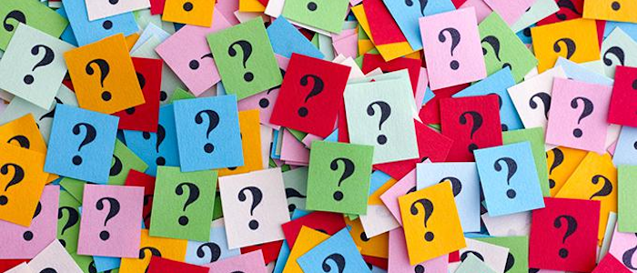 Questions, questions everywhere // For Big Company Inc. // Questions, questions everywhere // What does the CEO think?