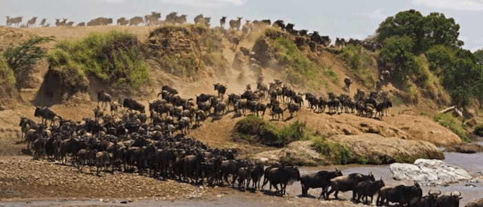 Data Migration (under GNU Manifesto)