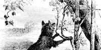 The Chief Marketing Officer and the CDO – A Modern Fable The Chief Marketing Officer and the CDO – A Modern Fable
