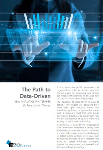 Neal Analytics White Paper - The Path to Data-Driven