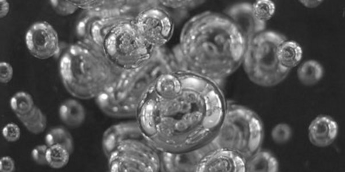 Multiverse? Multiverse?