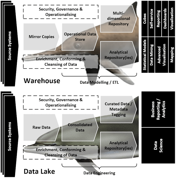 Convergent Evolution of Data Architectures