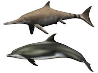 Convergent Evolution of Data Architectures Convergent Evolution of Data Architectures