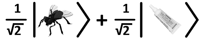 A Quantum Fly in the Ointment. OK, OK. I promise no more ket-based jokes! A Quantum Fly in the Ointment. OK, OK. I promise no more ket-based jokes!
